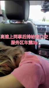 “你好好开车，一会再让你爽”和同事出差，高速上给我口交，服务区3P