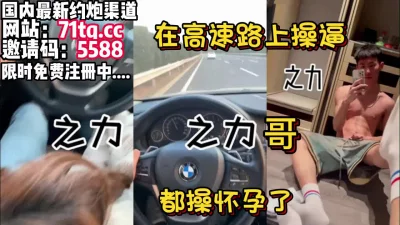 仔细听对白，之力兄开车在高速操逼约炮高颜值人妻【简介内有约炮渠道】